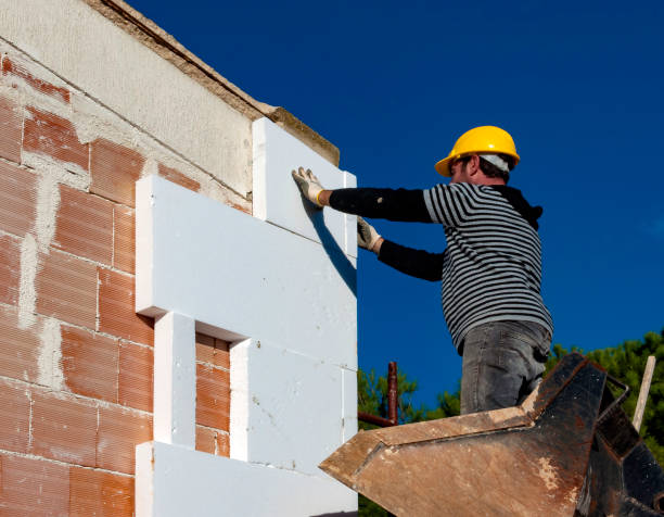 Best Commercial Insulation in Excelsior Springs, MO