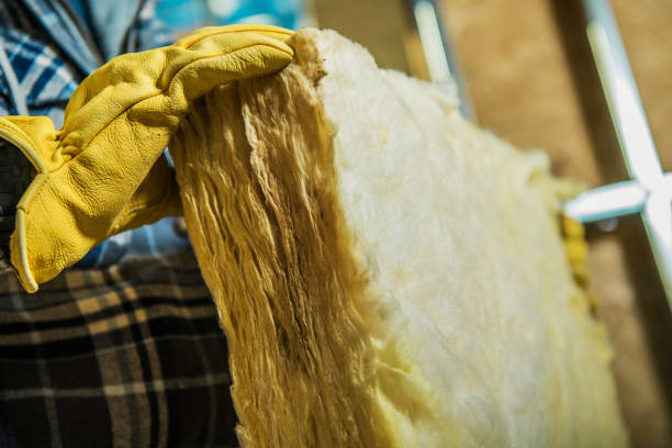 Best Cellulose Insulation in Excelsior Springs, MO