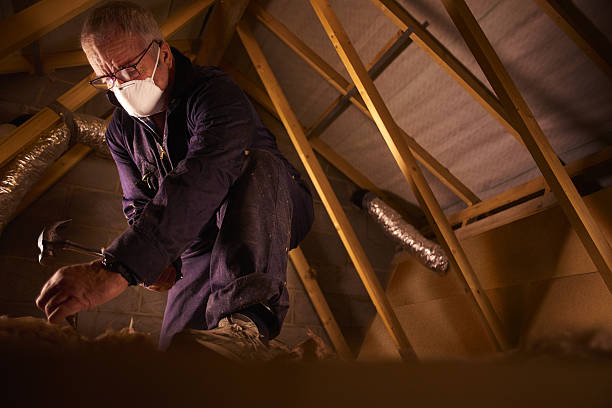 Best Blown-in Insulation in Excelsior Springs, MO